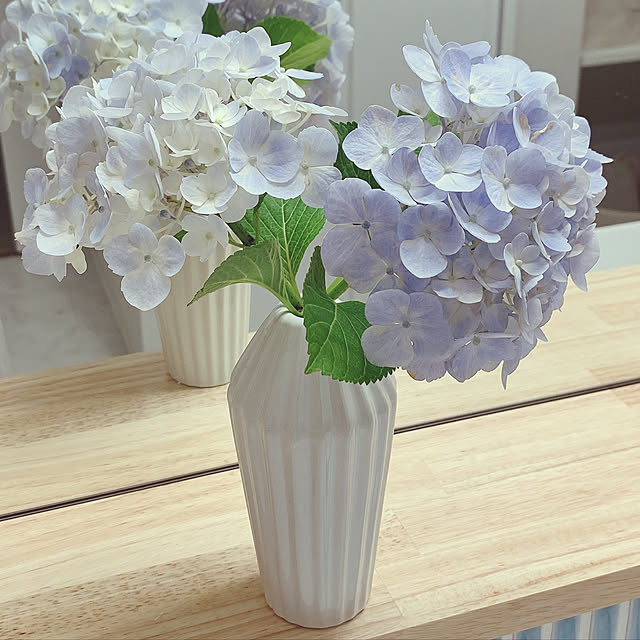soraさんの実例写真