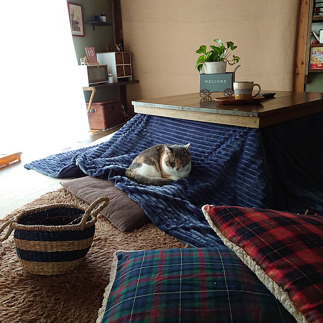 fukuさんの実例写真