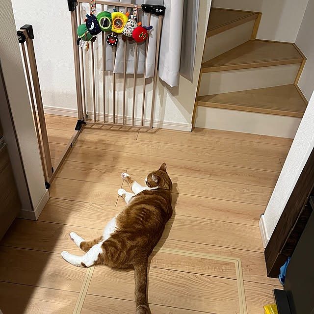ariさんの実例写真