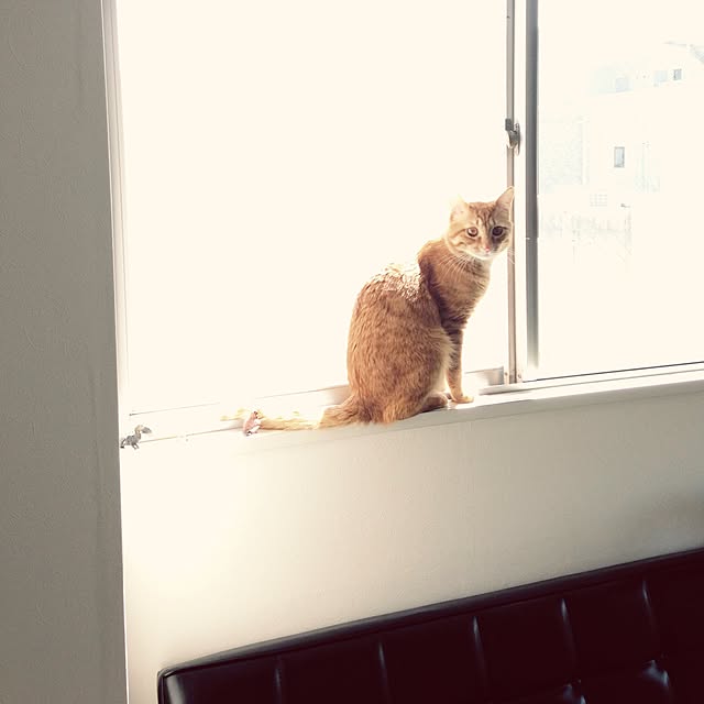 1902さんの実例写真