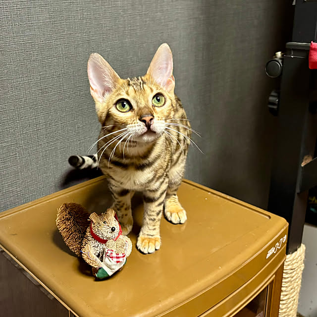 tututu0204さんの部屋