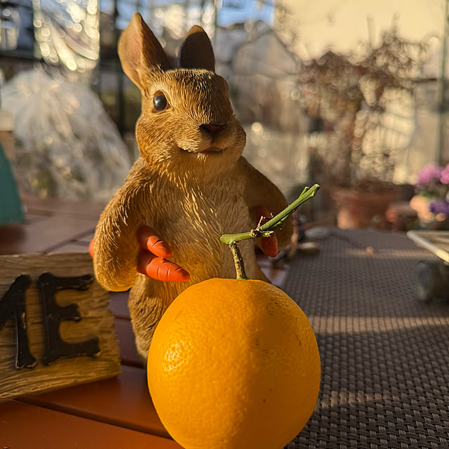 Aqettyさんの部屋