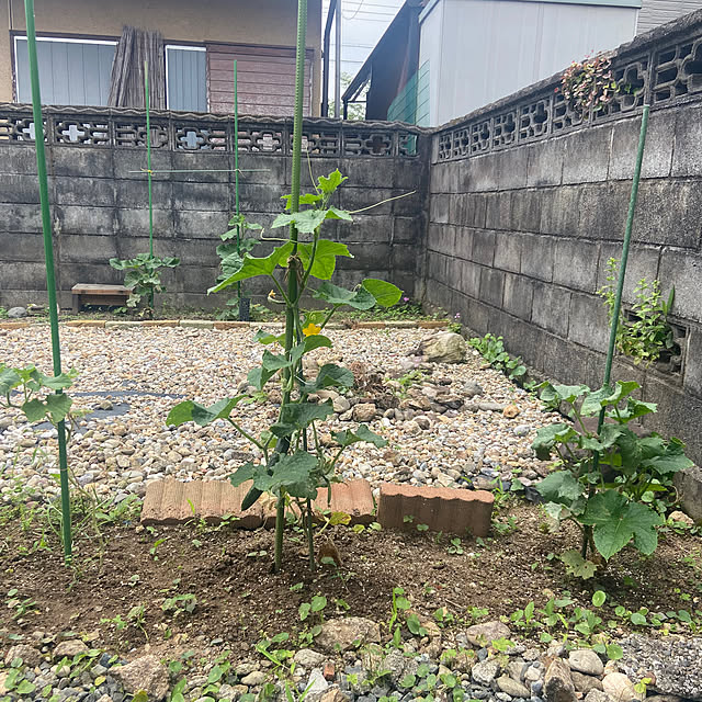 nayumi0723さんの部屋