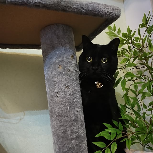 Tさんの実例写真