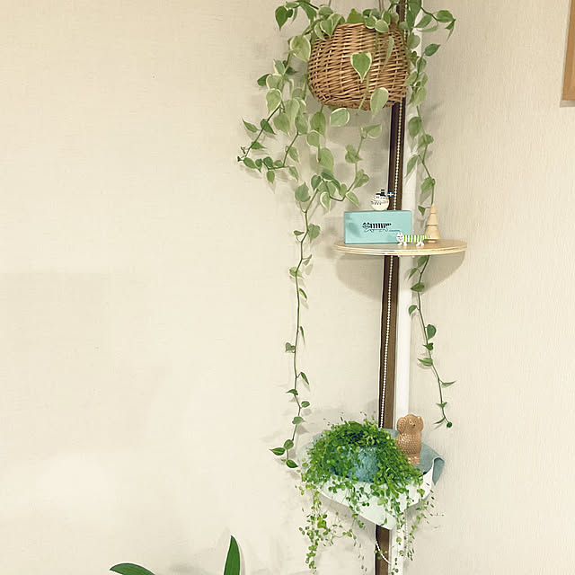 totomamaさんの実例写真