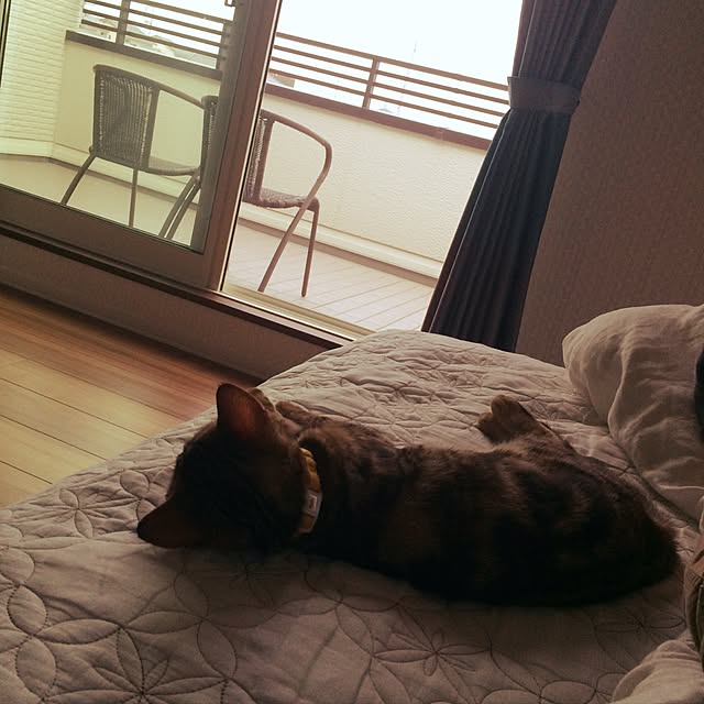 wyさんの実例写真