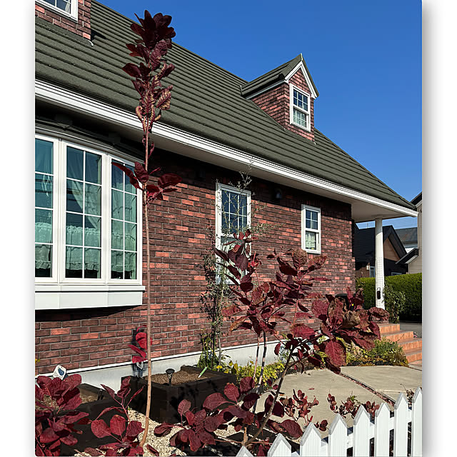 usagiさんの部屋