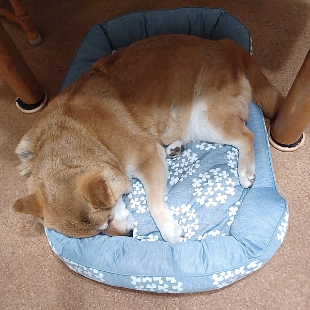 nanaさんの部屋