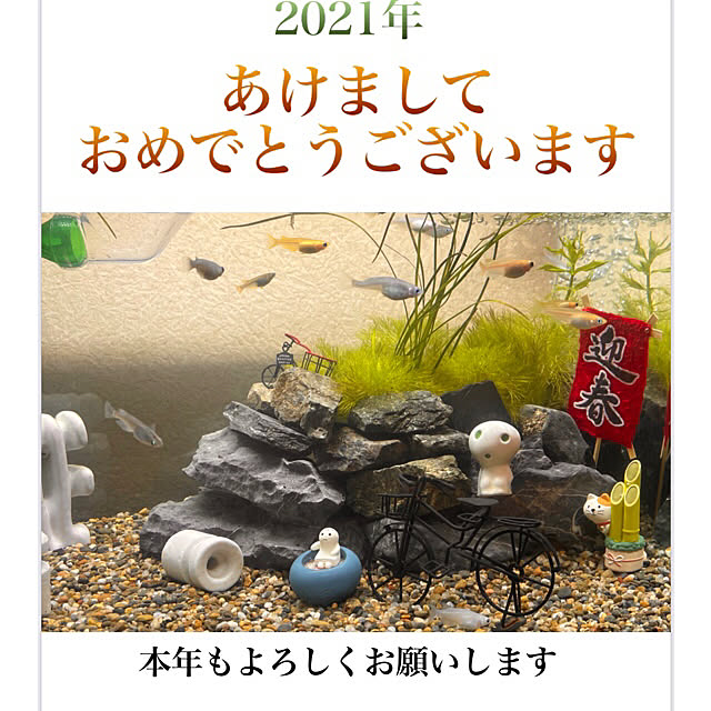 haruさんの実例写真