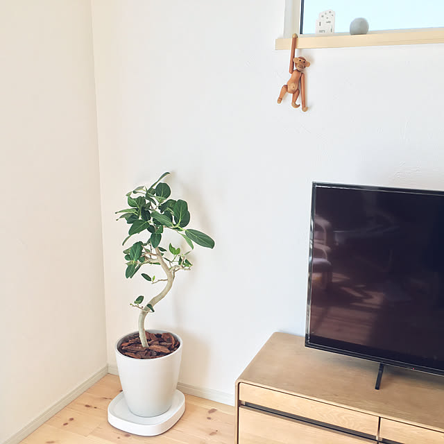 The_Natural_homeさんの実例写真