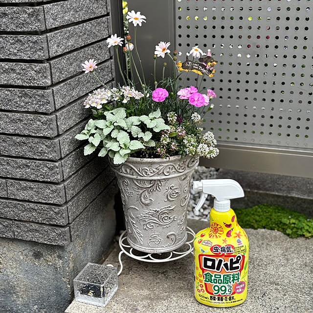 maayaさんの実例写真