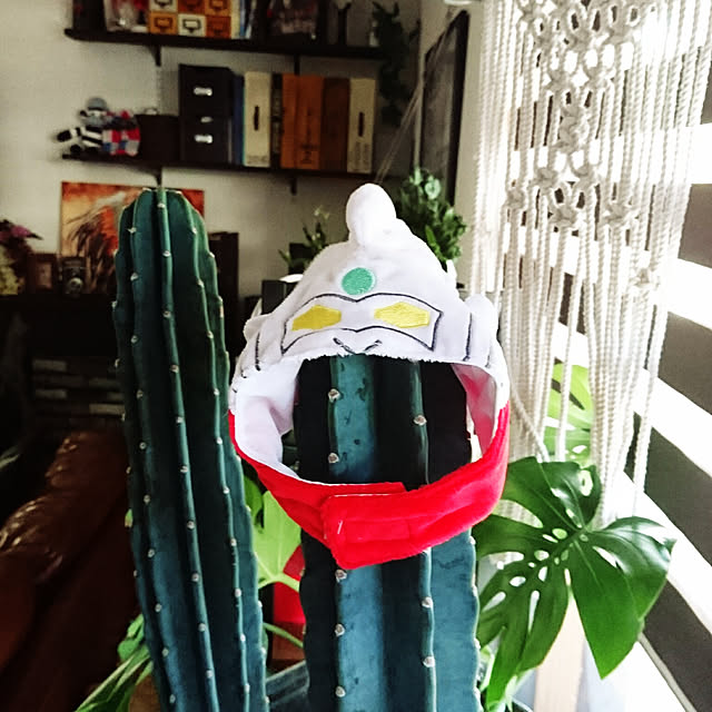 berry.さんの実例写真