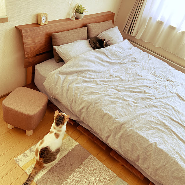 miwaさんの実例写真