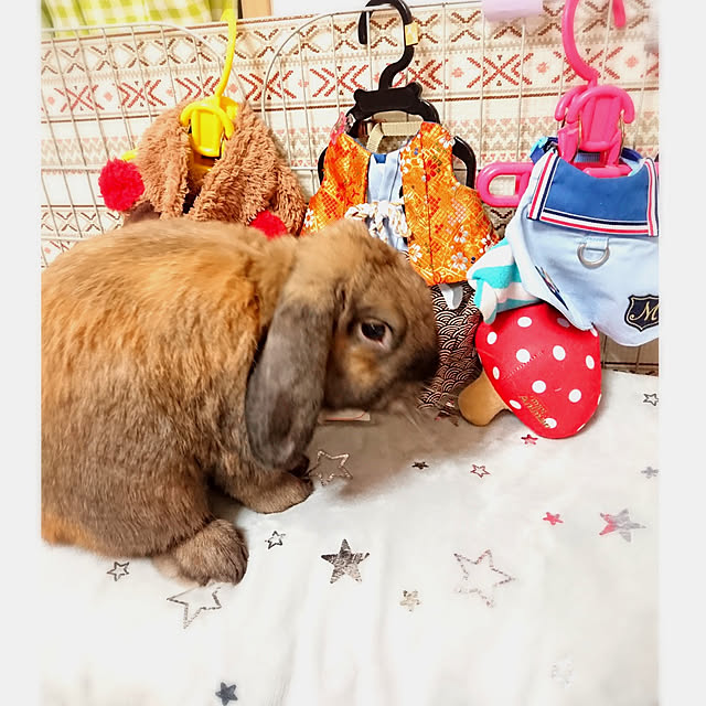 mariaさんの実例写真