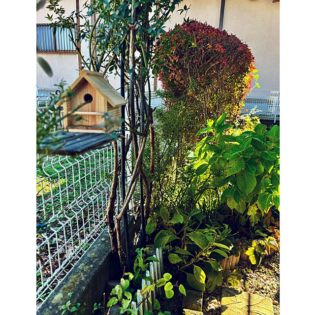 CoCo0617さんの実例写真