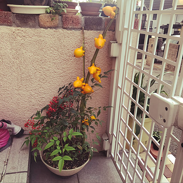 moyuhiさんの実例写真
