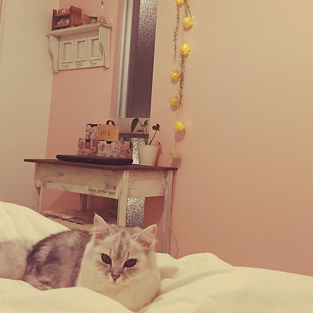 ya---iさんの実例写真