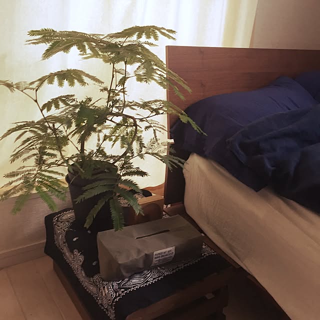 miさんの実例写真