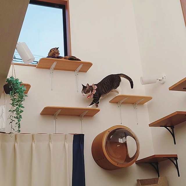 mochicoさんの実例写真