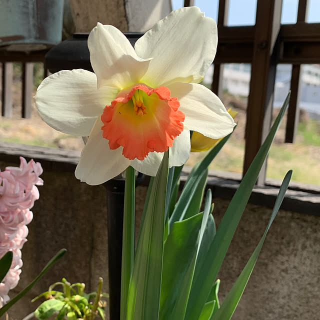 taeさんの部屋