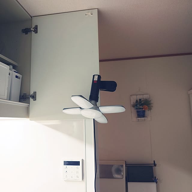 noguriさんの部屋