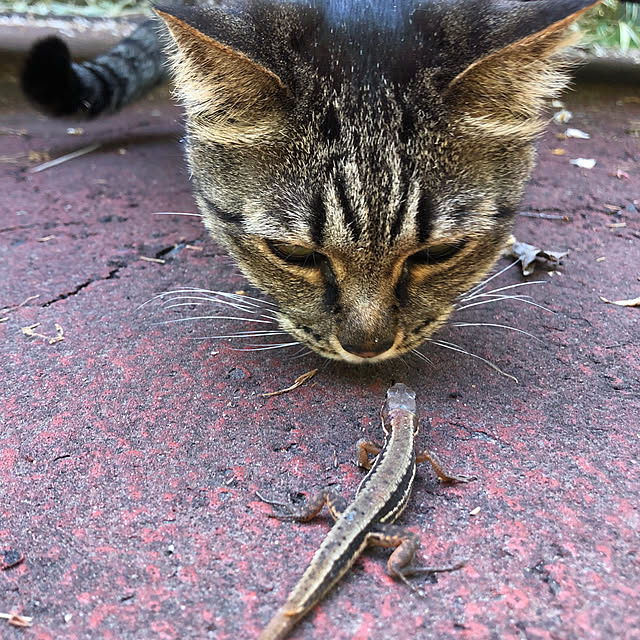 weさんの実例写真