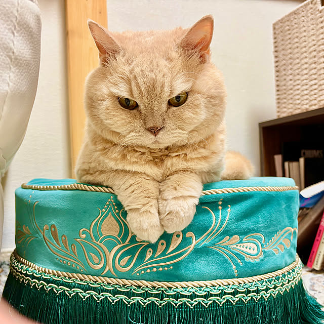 naokoさんの部屋