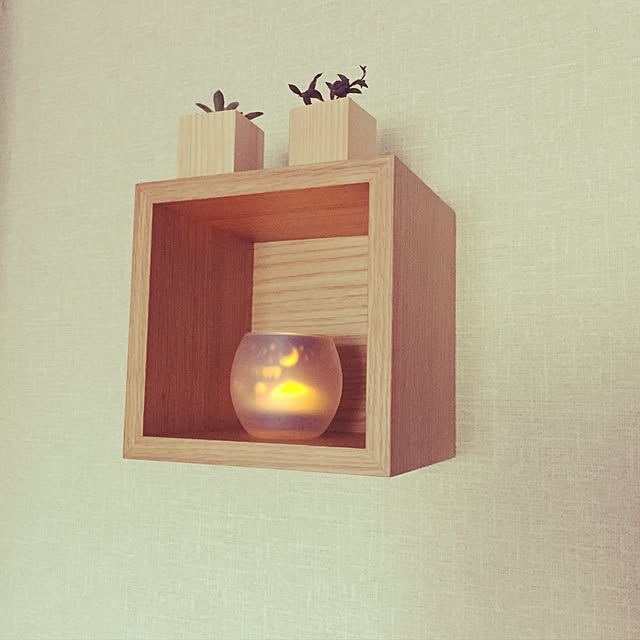 壁/天井/観葉植物/照明/無印良品のインテリア実例 - 2016-10-11 08:52:29