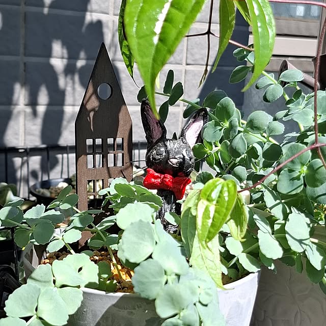 noaさんの実例写真