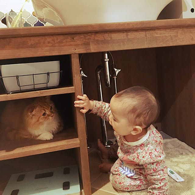 piyolandさんの実例写真