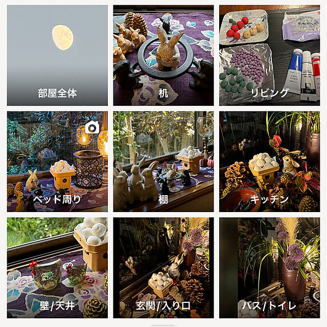 mamizaさんの部屋