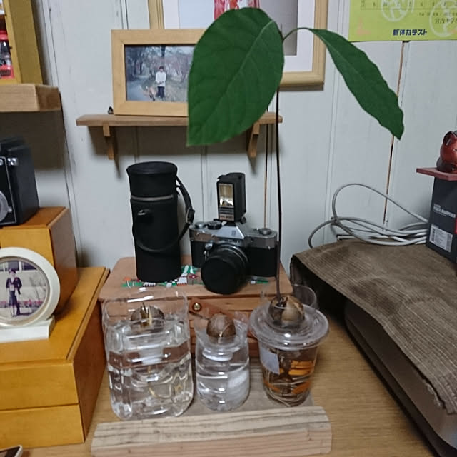 harupippiさんの実例写真