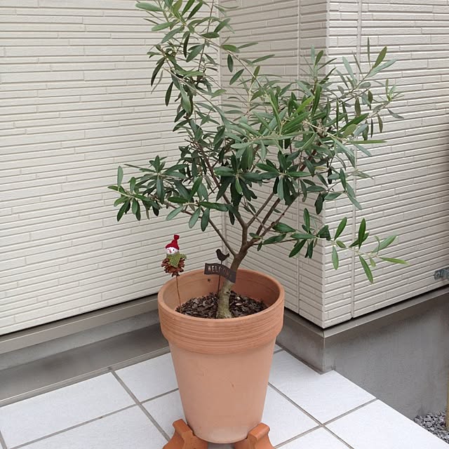 dicekbeetleさんの実例写真