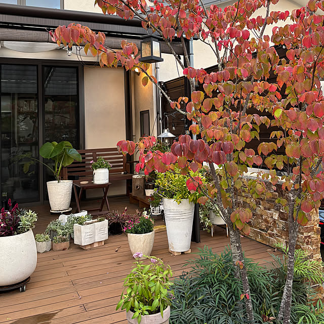 maimai0110さんの部屋