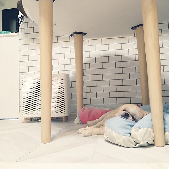 yukagomaさんの実例写真