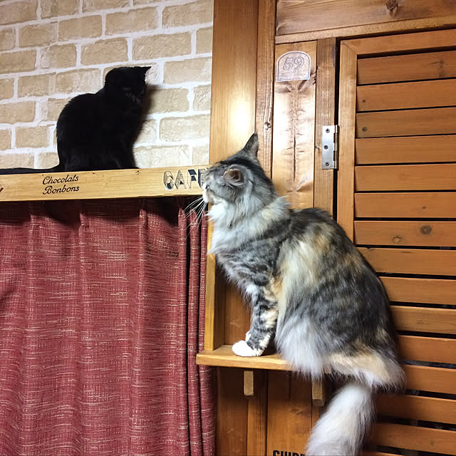 bebi.kさんの実例写真