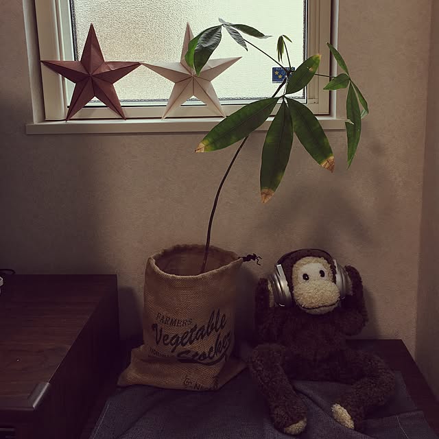 mahochinさんの実例写真