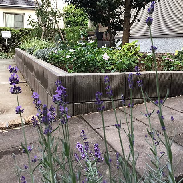 houenさんの部屋