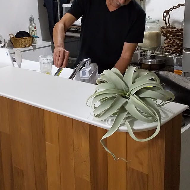 micaさんの実例写真