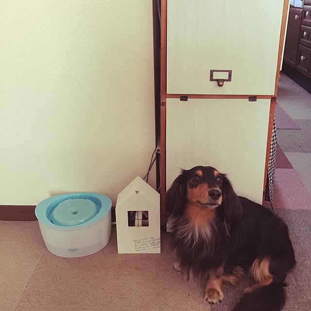 urucotoさんの実例写真