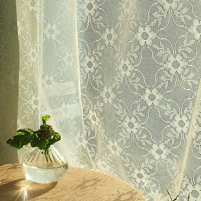 girl.lilikoiさんの実例写真
