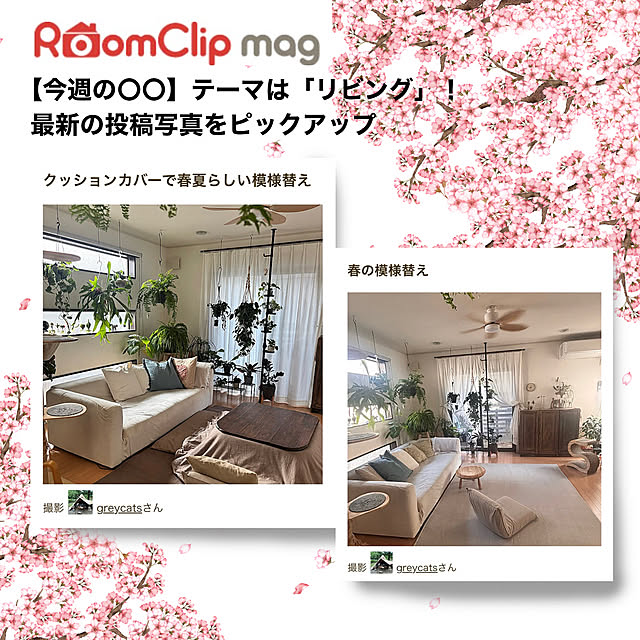 greycatsさんの実例写真