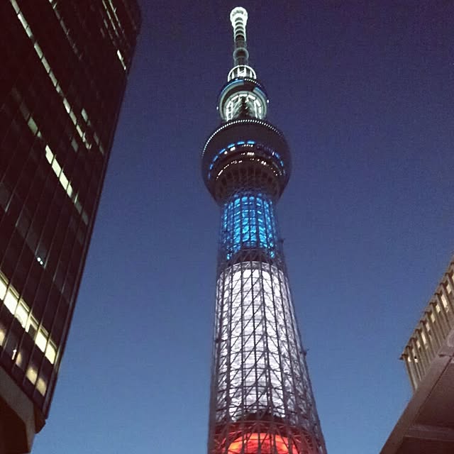 実例写真
