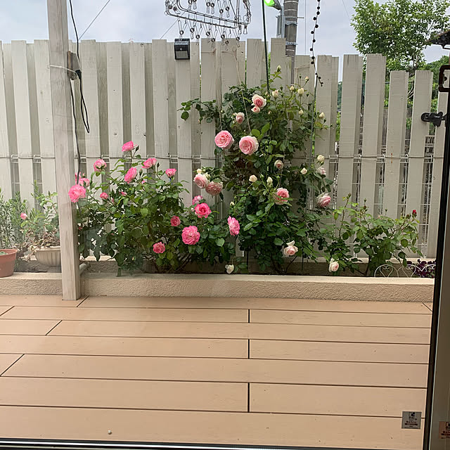 Kaoriさんの実例写真