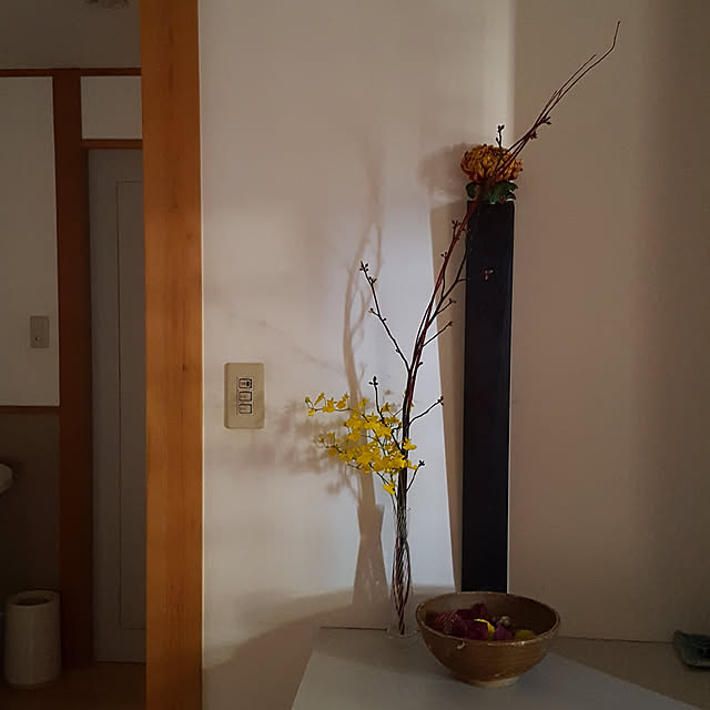 Lucyさんの実例写真