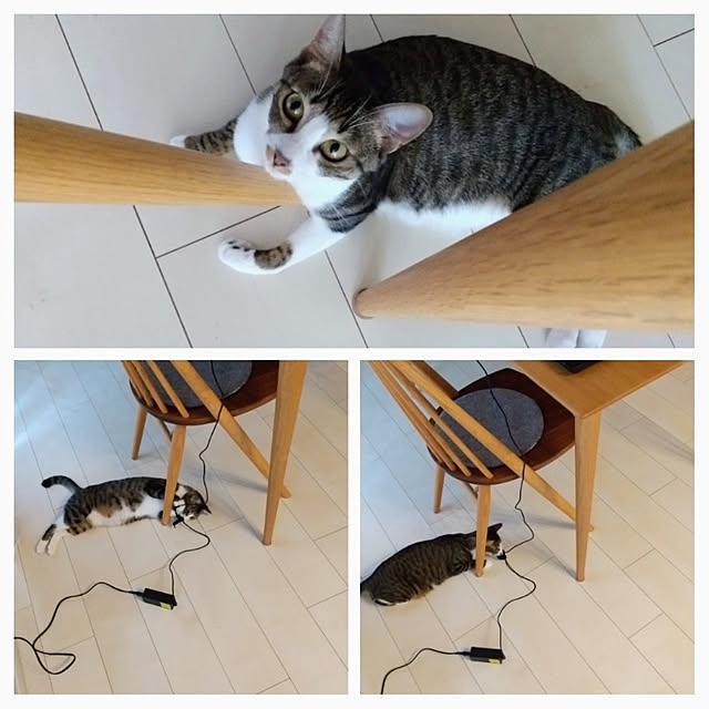 hanacocoさんの実例写真