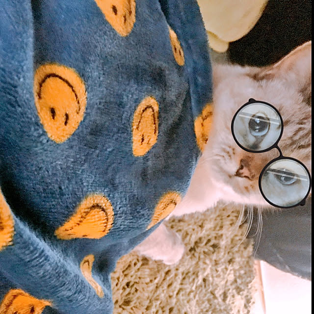 nachuさんの実例写真