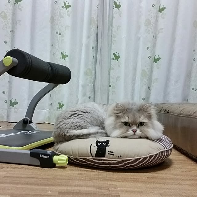 mistycatさんの実例写真