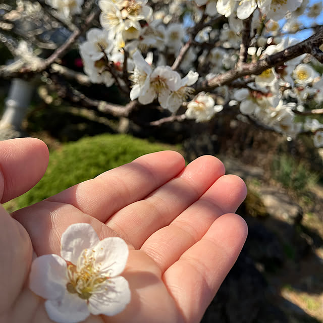Nagakoさんの部屋