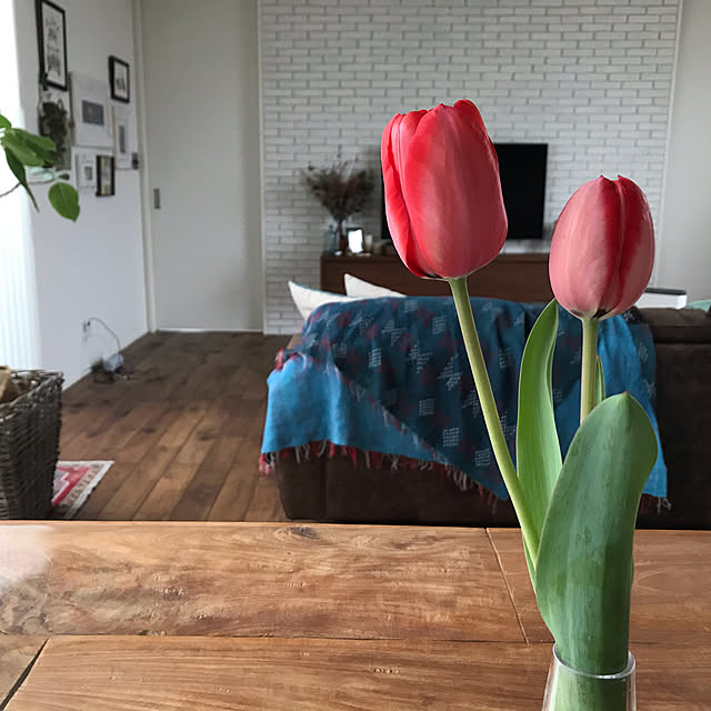 km_home17さんの実例写真